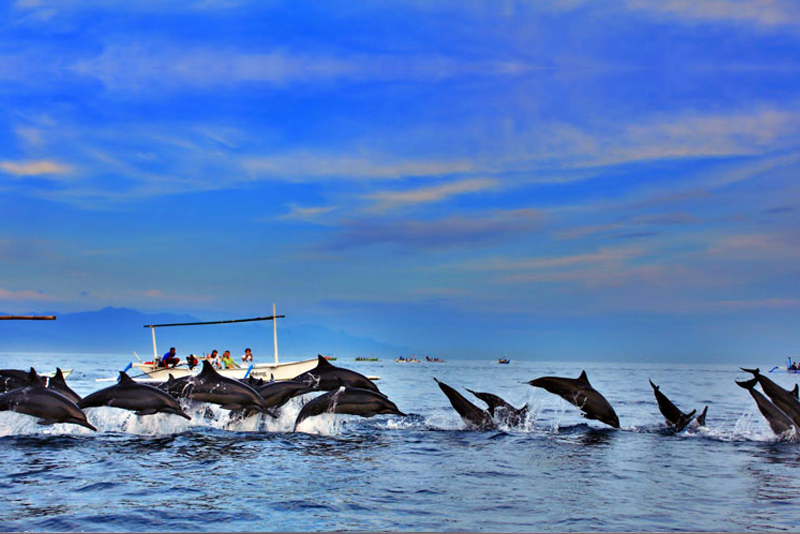 4 Days Bali Lovina Dolphins