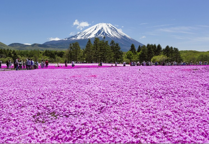 Tour service in malaysia